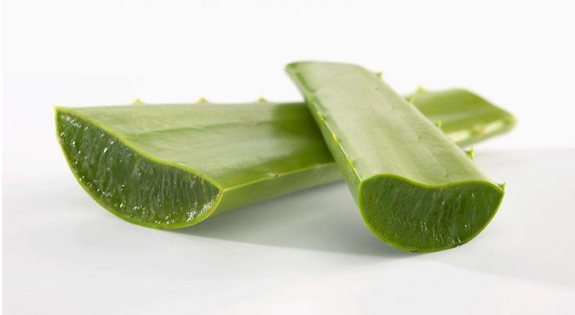 孕婦可以蘆薈護(hù)膚嗎？孕婦蘆薈護(hù)膚要注意什么呢？